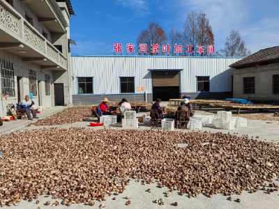 青峰镇：下好项目谋划“先手棋”   打好乡村振兴“主动战”