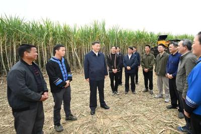 总书记引领我们走好改革开放这条“必由之路”