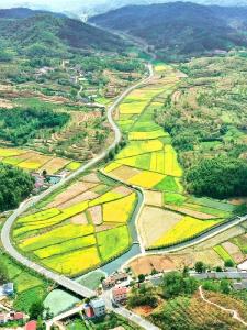 总书记的人民情怀丨“推进中国式现代化、实现共同富裕，一个民族都不能少”