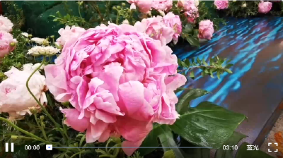 时政Vlog丨欢迎宴会有哪些中越元素？现场布置细节一览！