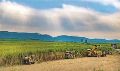 军店镇：三点发力，抓实耕地流出整改工作