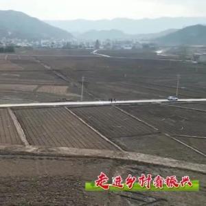时政现场说丨住有所居 让住房困难群体实现“安居梦”