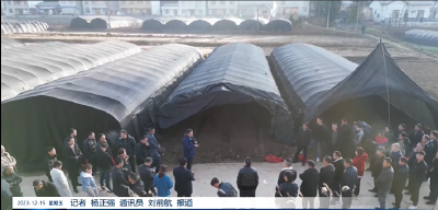 门古寺镇：教授田间支招做好羊肚菌防寒防冻