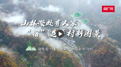 【和美乡村 荆楚画卷】山林深处有人家 “宿”造乡村新图景