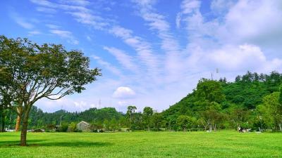 新质生产力在湖北丨跨界低空经济 湖北汽车产业链正在“起飞”