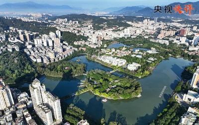 主播说联播丨抓好这项战略性、基础性工作，总书记强调各方形成合力