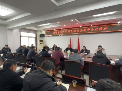 姚坪乡专题传达学习县两会精神