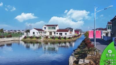 阿娟和她的“娘子军”——敲开一扇门 盘活一座村