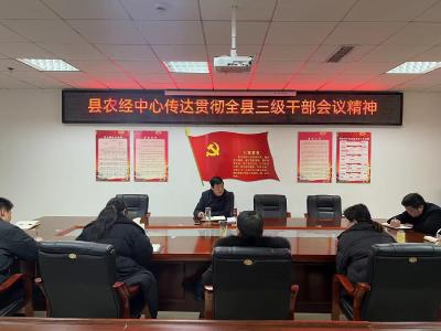 县农经中心：传达贯彻全县三级干部会议精神