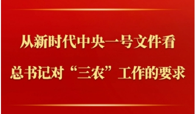 第一观察 | 从新时代中央一号文件看总书记对“三农”工作的要求