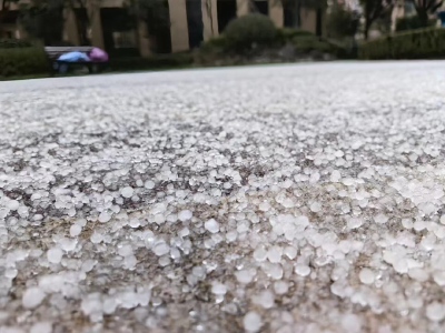 冰雪春天｜踏雪问暖