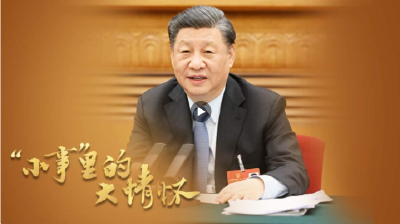 “小事”里的大情怀