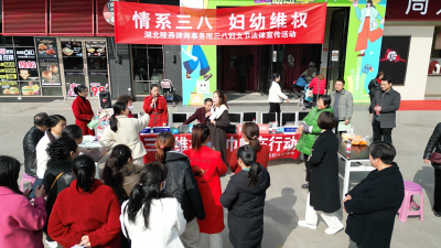 湖北陵燕律师事务所开展“三八”妇女节主题活动