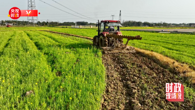 学习手记｜春天，种下一粒“种子”