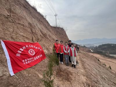 县农经中心：植树造林生态美  插青播绿春常在