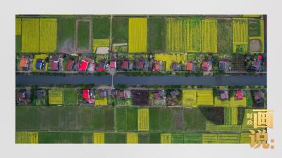 时政画说丨春之计