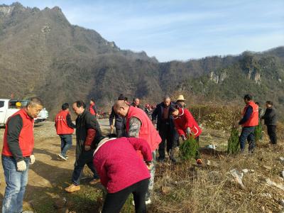 九道乡响应沟村：共植盎然“绿”  共护幸福“园”