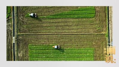 万象“耕”新 智绘“丰”景——各地春耕春管一线扫描