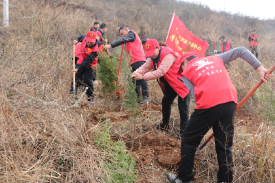 房县公共资源交易中心：植树添新绿 共建美好家园