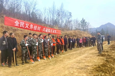 万峪河乡：春风又一度 植树添绿忙