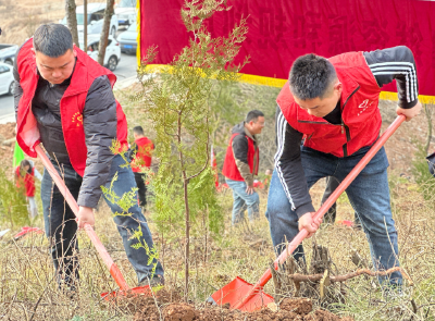 县自然资源和规划局：共建美好家园 植树节我们在行动