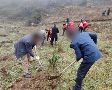 门古寺镇司法所：绿色矫正 重“树”新生