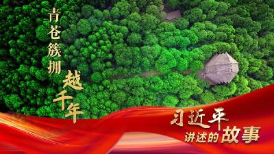 微视频 | 向“新”而行