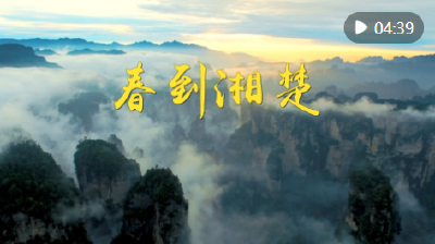第1视点｜春到湘楚