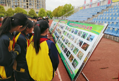 房县野保局：开启资源管护“新模式” 争当绿色发展“排头兵”