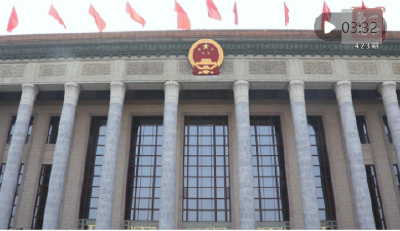 第一观察·现场｜相知无远近 万里尚为邻
