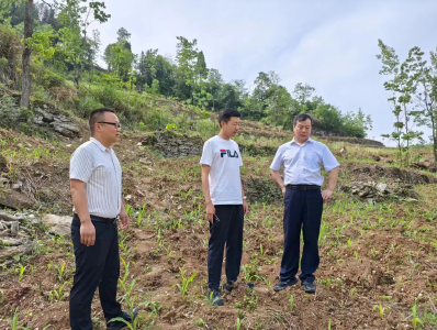 讲“战术” 促整改 全力抓好耕地保护工作