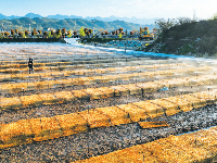 建设节水工程 助力农业增效