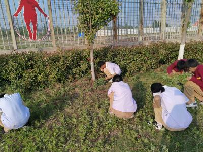 房县思源实验学校：劳以启智 动润童心