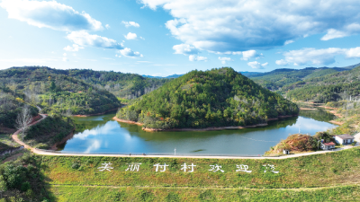 湖北省发改委主任鲁宇清：支点建设取得决定性进展是未来5年湖北发展的“指挥棒”