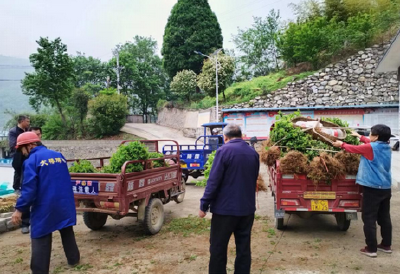尹吉甫镇珠藏洞村：大力发展庭院经济助力乡村振兴