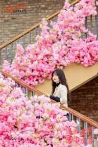 PIVOT！从一朵樱花看湖北开放发展万千气象