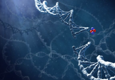 放射性粒子让肿瘤无处可逃 十堰人医微创技术造福肿瘤患者