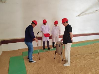 县公检中心：开展储备粮检测 筑牢粮食安全防线