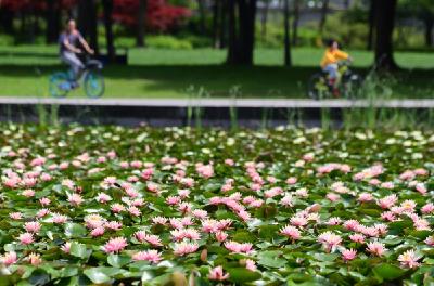 用无悔诠释青年责任与担当