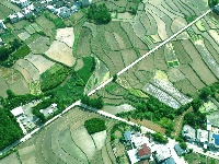 田间地头披“新绿”  房县农户插秧忙