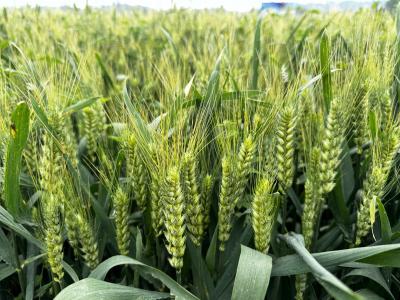 土城镇：市长热线来诉求、干部下访解民忧