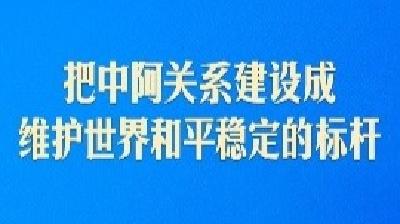 推动中阿命运共同体建设跑出加速度，习近平这样强调