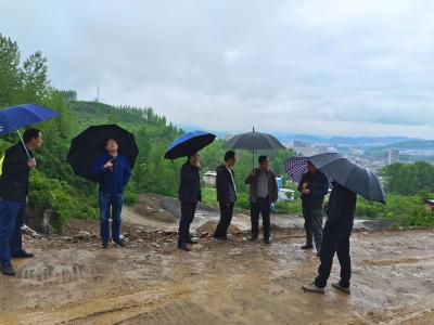 十堰市自然资源和规划局督导组来房督导历史遗留矿山生态修复工作