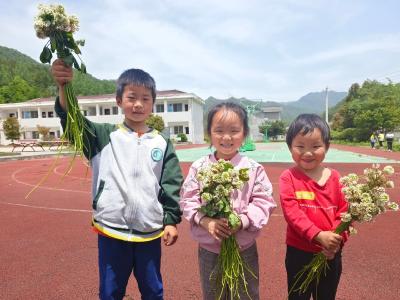 ​土城镇龙坪小学：爱如草木芳香  感恩最美母亲