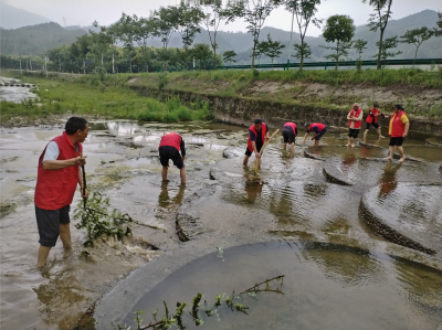 化龙堰镇：拒绝“袖手”当“帮手” 守得一湾碧水来