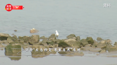 时政现场说丨打造活力多元阳光海岸绿道 建设绿色可持续海洋生态环境