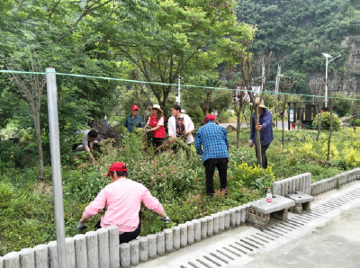 姚坪乡：干群齐上阵  共创靓家园