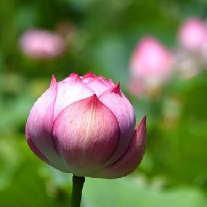 “财”干担当 青春“政”好 —房县财政局召开青年干部廉政座谈会