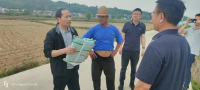 房县：狠抓豇豆农残治理，确保舌尖上的安全