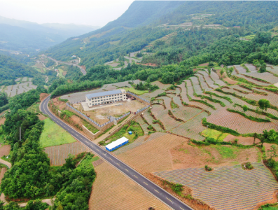 万峪河乡：初夏烟地披绿装  村民致富有“钱”景